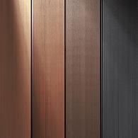 Legro FS21 Gevelpaneel 21x2,75x360 cm (w.m.196mm) Burned Wood