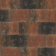 Abbeystones 20x30x6 cm Zomerbont, met deklaag