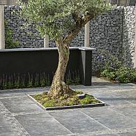 Blue moon honed anticato 50x50x2.5cm