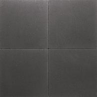 Premiton plus xxs 60x60x4cm la palma