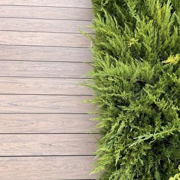 Multicolor 14 x 1,9 x 400 cm Cedar