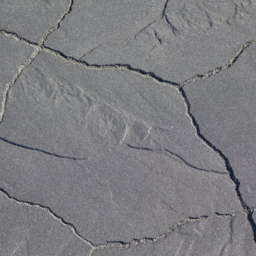 Geoardesia alivo cannobio