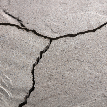 Geoardesia alivo lazise