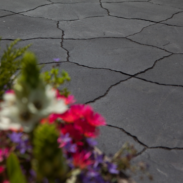 Geoardesia alivo milano