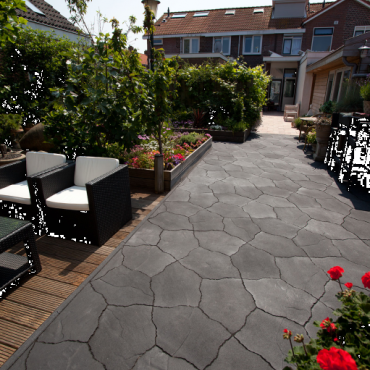 Geoardesia alivo 6cm Milano