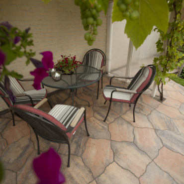 Geoardesia alivo riviera