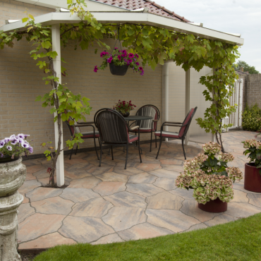 Geoardesia alivo riviera