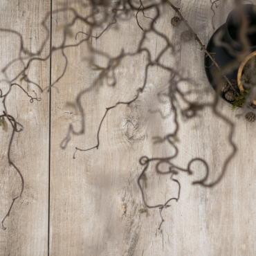 Geoceramica® 120x30x4 timber tortera