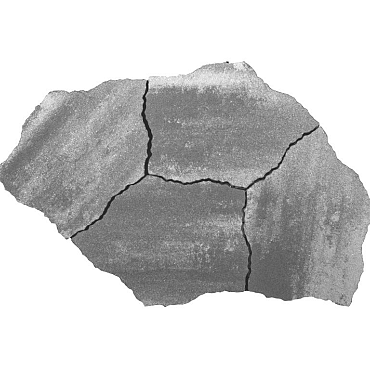 Geoardesia alivo 6cm Elba