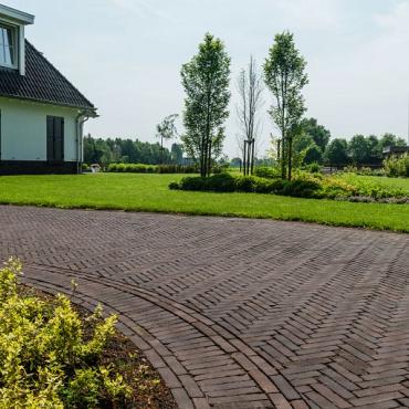 Bolzano antica wf60 (sp)  96 (paars genuanceerd)