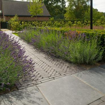 Carbona antica wf60 (sp)  96 (zwart)