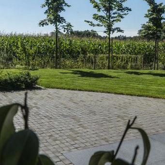 Iseo antica df60 (sp)  73 (zwart-bruin)