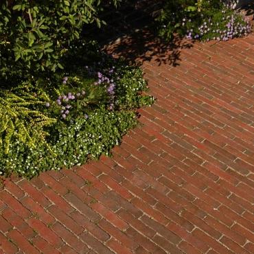 Lumino wf80 (vb)  93 (rood-paars genuanceerd)