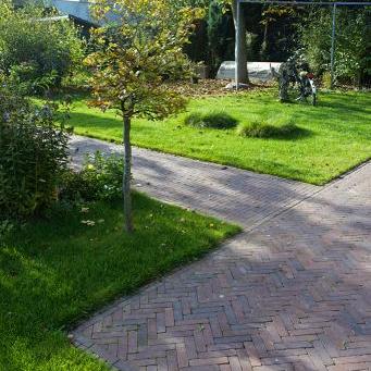 Novara antica wf60 (sp)  96 (rood bruin genuanceerd)