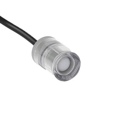 Dot 22 (zonder ring)