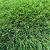 Kunstgras Fresh 40 mm 200 x