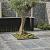 Blue moon honed anticato 60x60x2.5cm