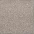 Colorline 60x60x4 cm greige
