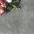 Geoceramica® 80x40x4 cathedrale antra