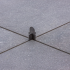 Spacer (voegkruis), 3mm, 85 stuks per emmer