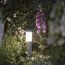 in lite tuinverlichting